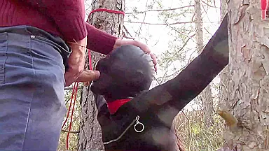 Outdoor Milf 3 : Blowjob, Bondage, And Creampie