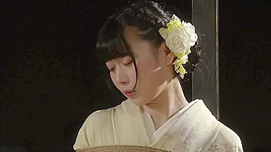 My B In 007 Japanese And Miyabi Kinbakukan Vol.8