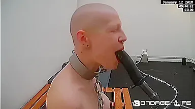 Livecam 01-12-2018 Ritual
