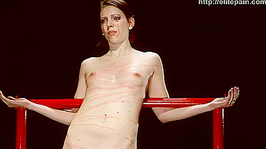 Beautiful Ladies Used Nicely Bdsm